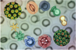 Synthesis & Self-assembly of Micro-, Nanoparticles